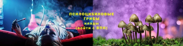 ПСИЛОЦИБИНОВЫЕ ГРИБЫ Михайловка