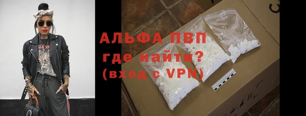 PSILOCYBIN Михайлов