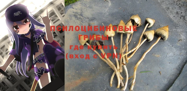 PSILOCYBIN Михайлов