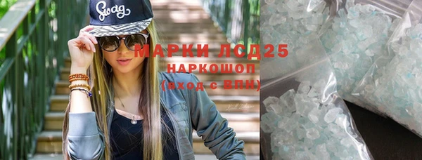 PSILOCYBIN Михайлов